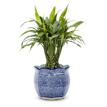Scallop Edge Planter Indigo Blue White Porcelain 7" High Elegant Pot 6" Diameter image 2