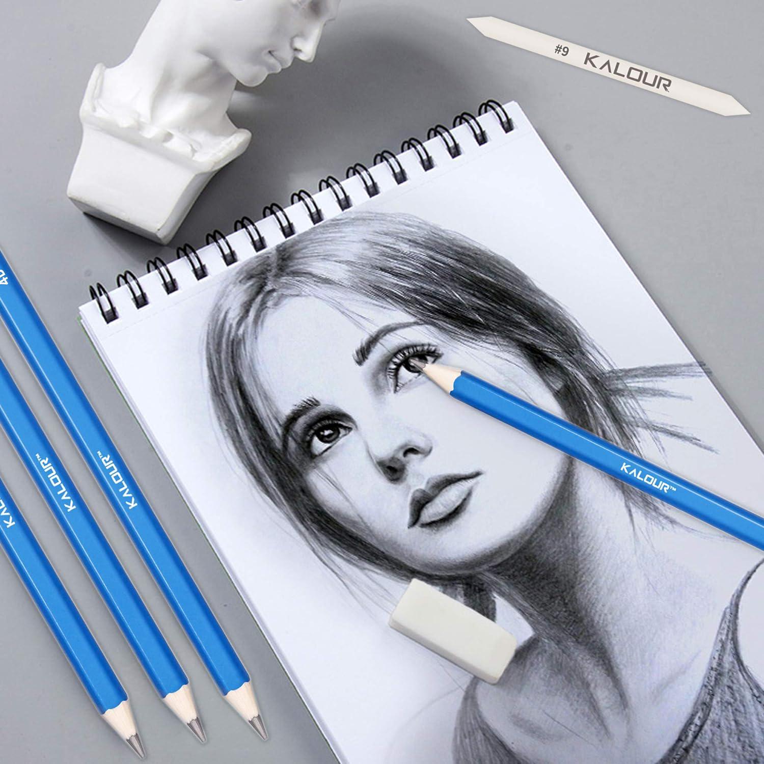 KALOUR Professional Colored Charcoal Pencils Drawing Set,12 Pieces Pastel Chalk Pencils for Sketching, Shading, Blending, Portrait, Black White