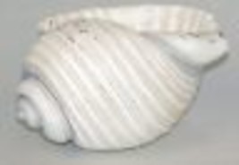 Conch Shell Planter or Bowl White 9" Long Poly Resin Nautical Seaside Coastal