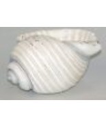 Conch Shell Planter or Bowl White 9&quot; Long Poly Resin Nautical Seaside Co... - $24.74