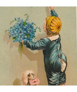 Little Boy W/ Flowers Reaching for Bell, Poodle & Card Antique Birthday Postcard - $9.00