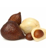 Salak World Snakeskin Fruit, 20 Seeds - $12.19