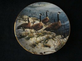 Canada Goose Collector Plate John SEEREY-LESTER Geese Among The Cattails - $45.00