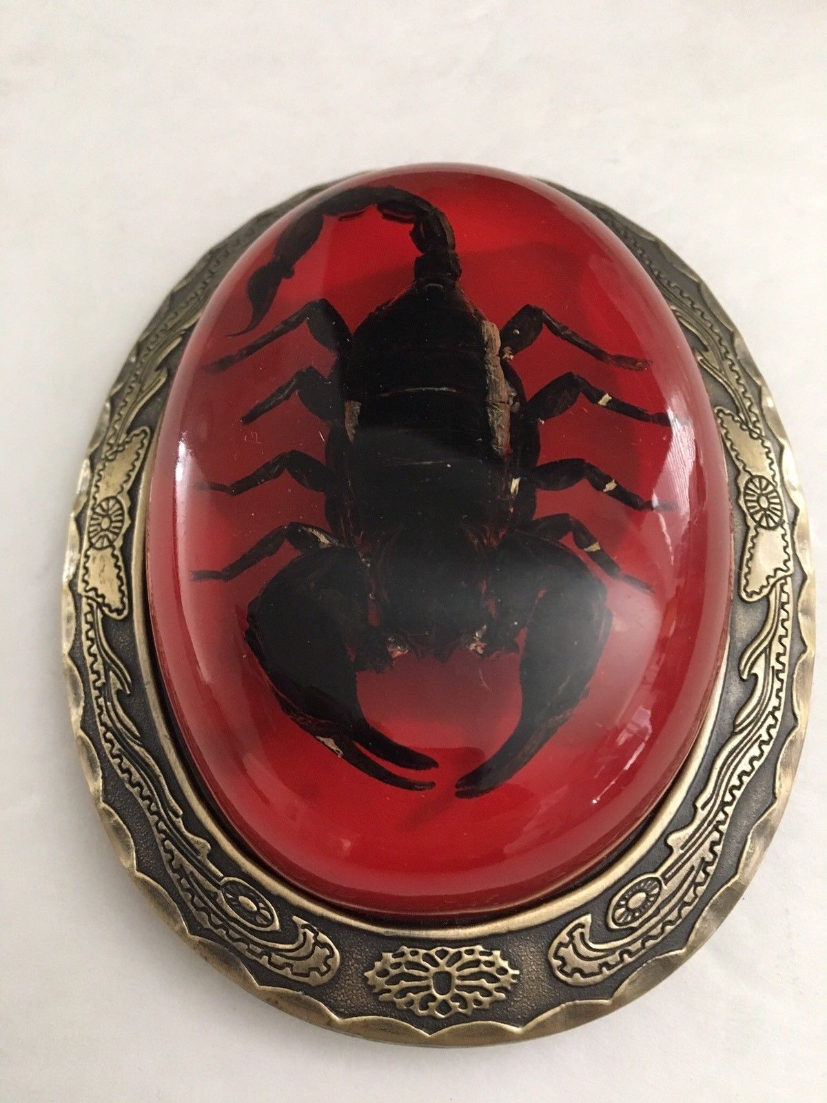 Mexican Scorpion Belt Buckle | Scorpions Store