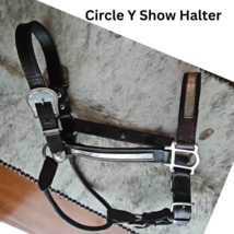 Circle Y Silver Show Halter Horse Size Dark Oil USED image 1