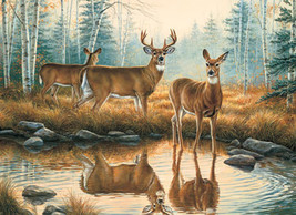 Deer Reflections  Cross Stitch Pattern***LOOK*** - $2.95