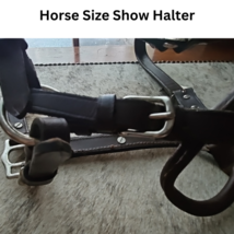 Texas Star Silver Show Halter Horse Size Dark Oil USED image 3