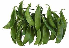 Oregon Giant Snow Pea Seeds- 50 Count Seed Pack - Non-GMO - Finest Tasting, Most - $1.99