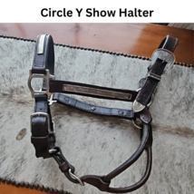 Circle Y Silver Show Halter Horse Size Dark Oil USED image 2