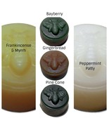 5 Piece 100 Percent Beeswax Melt Sample Winter Scents Pack - $7.00