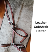Leather Cob Arab Size Halter Stainless Hardware Doubled and Stitched USED image 2