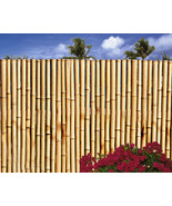 Bamboo Fence- Sold In 8 Foot Sections Choose from 4 Heights-Natural Color - $110.00 - $495.00