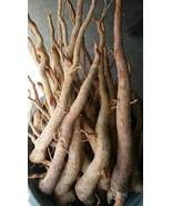Original Best Quality Root RED TONGKAT ALI Kalimantan - Indonesia (1000gr) - $49.00