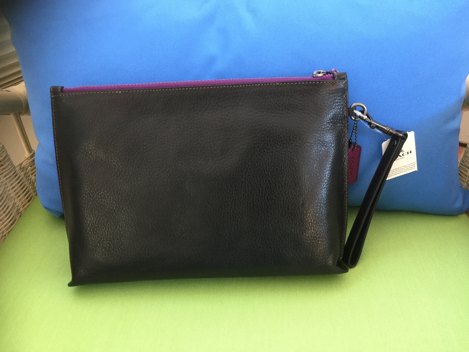 NWT/COACH X DISNEY/DUMBO/ACADEMY POUCH/LARGE WRISTLET Handbags