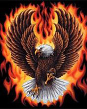 FLaming EagLe Cross Stitch Pattern***LOOK*** - $2.95