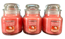 3 PACK YANKEE CANDLE 3.7 oz SMALL JAR CANDLES PINK SANDS BRAND NEW