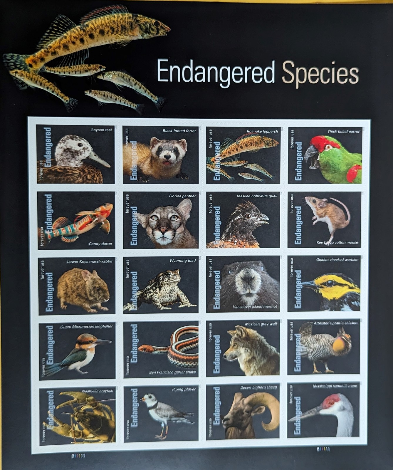 USPS Stamp Sheet 50th Anniversary Endangered Species Act 2022 - Sheets