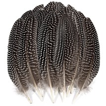 Natural Turkey Spotted Feathers, 30Pcs Pheasant Feathers for Crafts DIY Hat  USA!