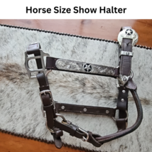 Texas Star Silver Show Halter Horse Size Dark Oil USED image 1