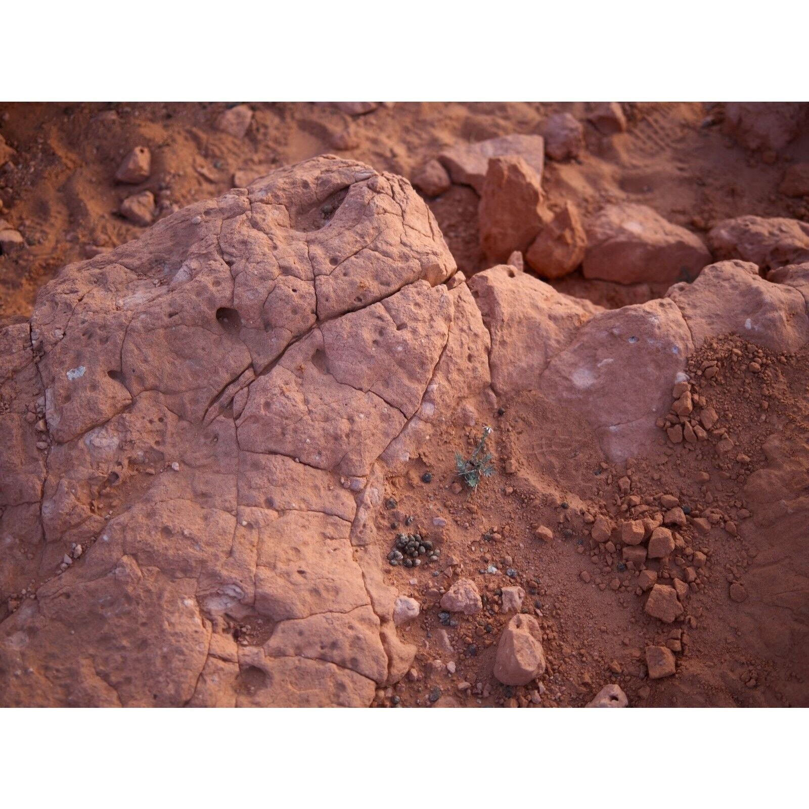 South Red Clay Dirt Soil Nutrient Rich Soil Retains Moisture Other