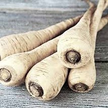 Parsnip, Hollow Crown Seeds, Organic, NON GMO , 25 seeds per pack,Sweet ... - $3.00