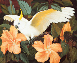 Cockatoo Bird Hibiscus Cross Stitch Pattern***LOOK*** - $2.95