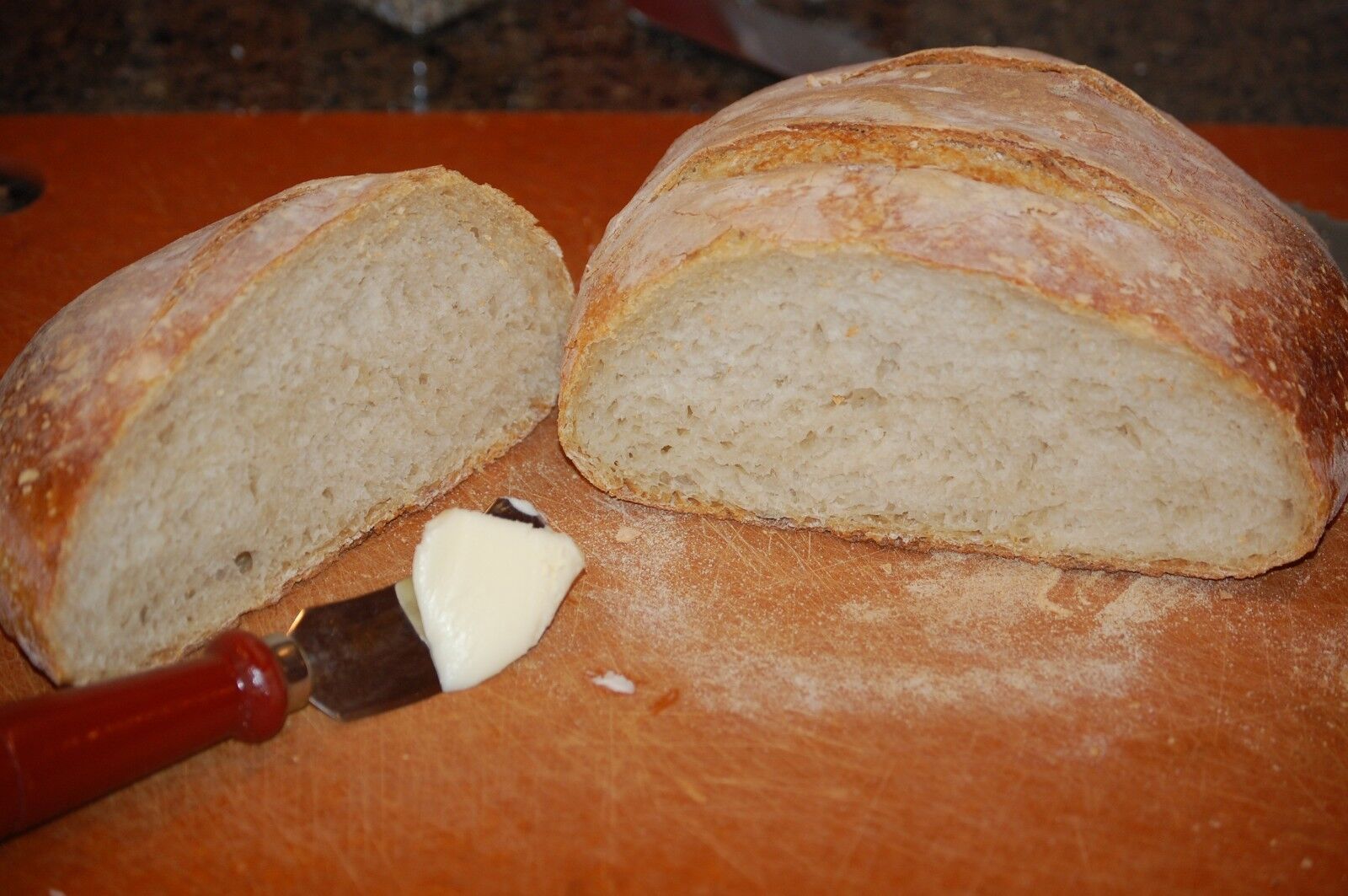 Primary image for Gluten Free Sourdough Bread Starter Yeast San Francisco Sammy Plus Recipes Sa...