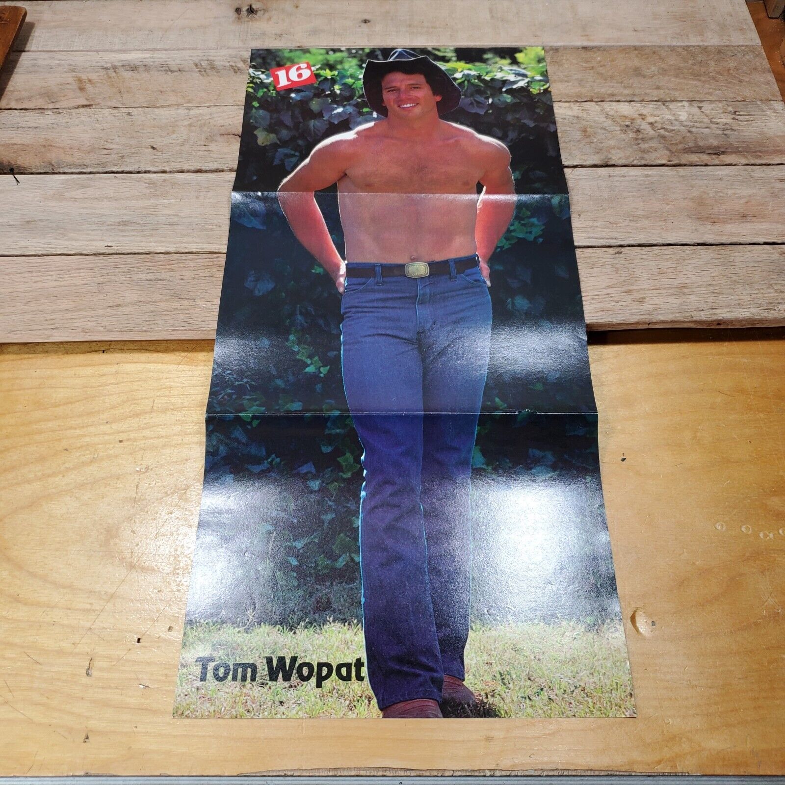 Dukes Of Hazzard Tom Wopat Shirtless Muscular Pose Tri Fold Color Photo 23x11 Color 