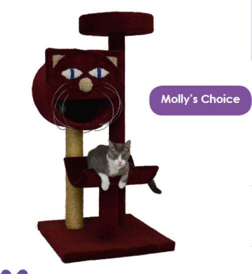 MOLLYS CHOICE 54" TALL CAT TREE *FREE SHIPPING IN THE UNITED STATES