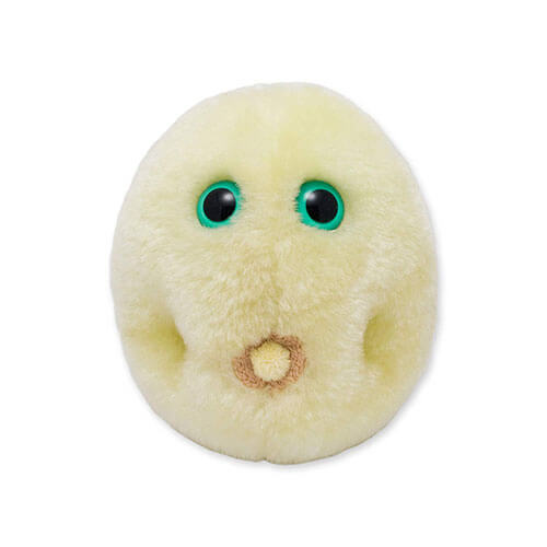 Giantmicrobes Hay Fever Other