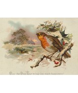 1800's Antique Victorian Christmas Card - Robin on Snowy Branch, Glittered - $10.00