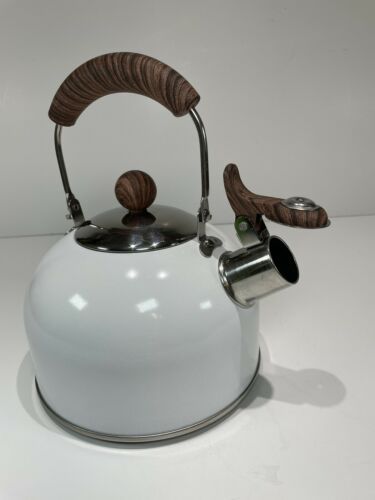  ROCKURWOK Tea Kettle, Tea Pot with Cool Touch