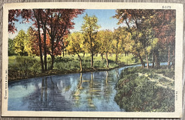 Vintage Linen Postcard Fall Foliage Trees Along River Curt Teich Card c1955 - $4.00