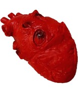 Soft Latex LIFE SIZE FAKE HUMAN HEART Gory Body Part Scary Halloween Hor... - $8.52