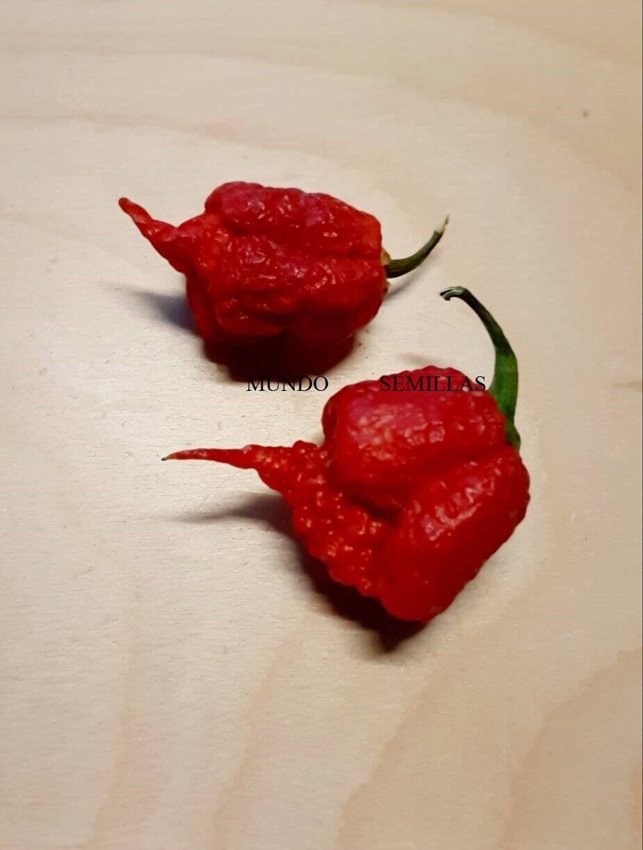 Carolina Reaper (the Most Spicy Of World) Hp22b Chili 20 Seeds - The ...