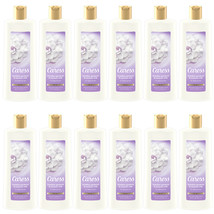 12-Pack New Caress Body Wash for Dry Skin Brazilian Gardenia & Coconut Milk 18oz - $85.91