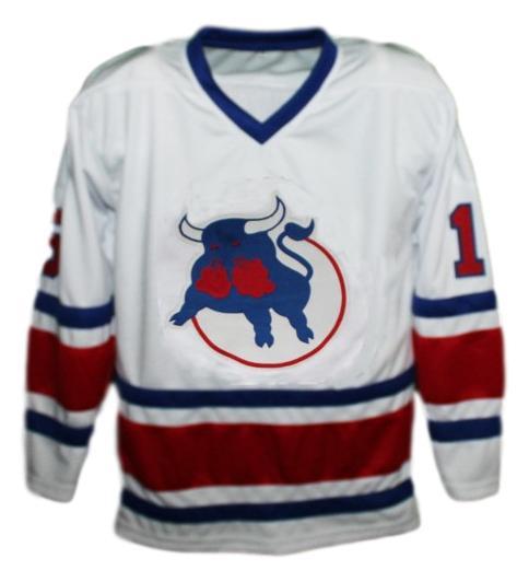 Dave hanson birmingham bulls retro hockey jersey white   1