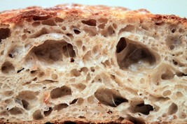 Sourdough Bread Starter Yeast From San Francisco Wharf Dry Culture Activ... - $6.50