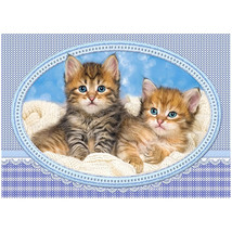 Castorland Kittens Curling Up Blanket Puzzle 120pcs - $23.38