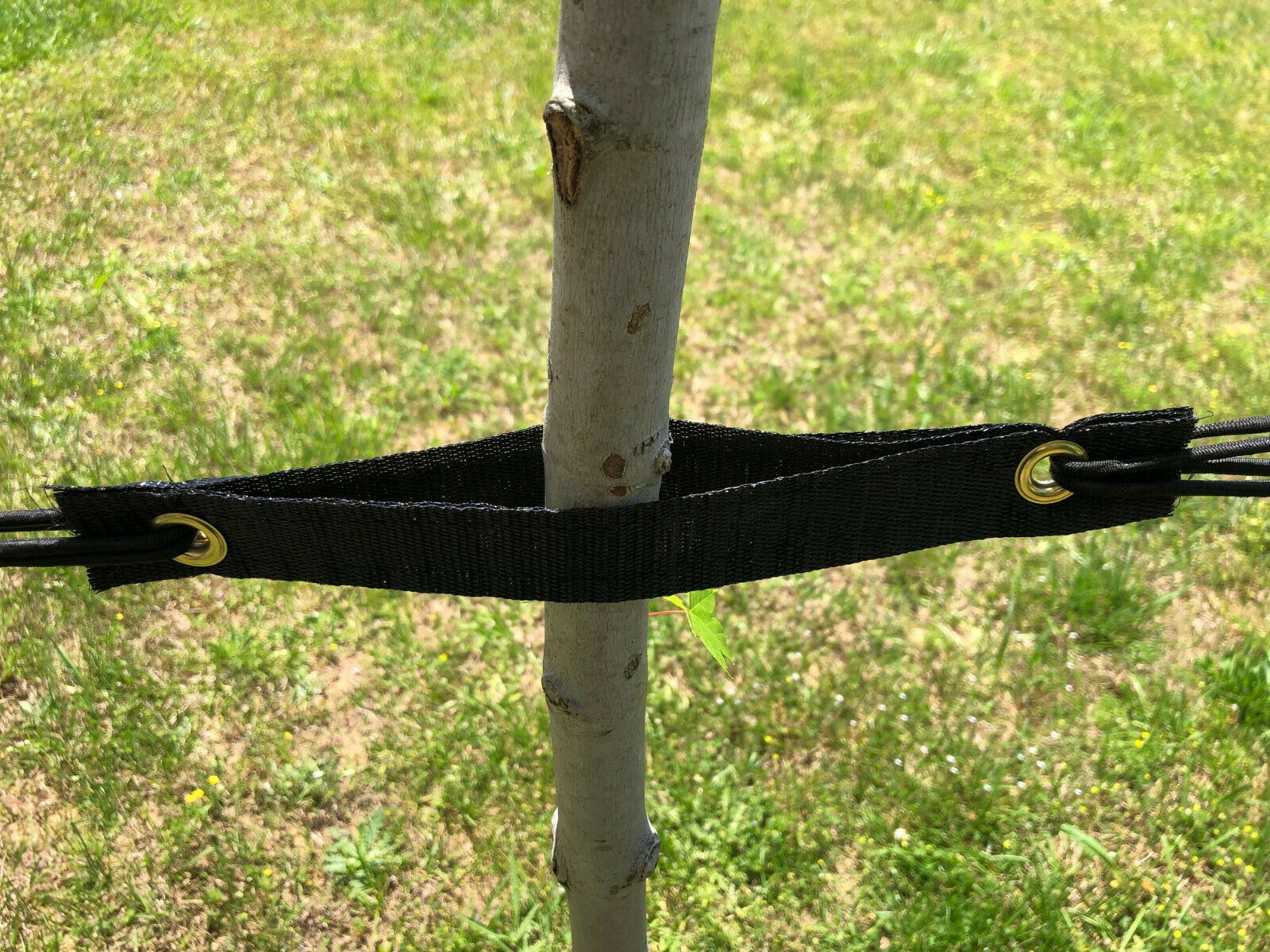 Tree Straps Pack of 6 or 50 1”3/8 by 9” for securing trees (Free