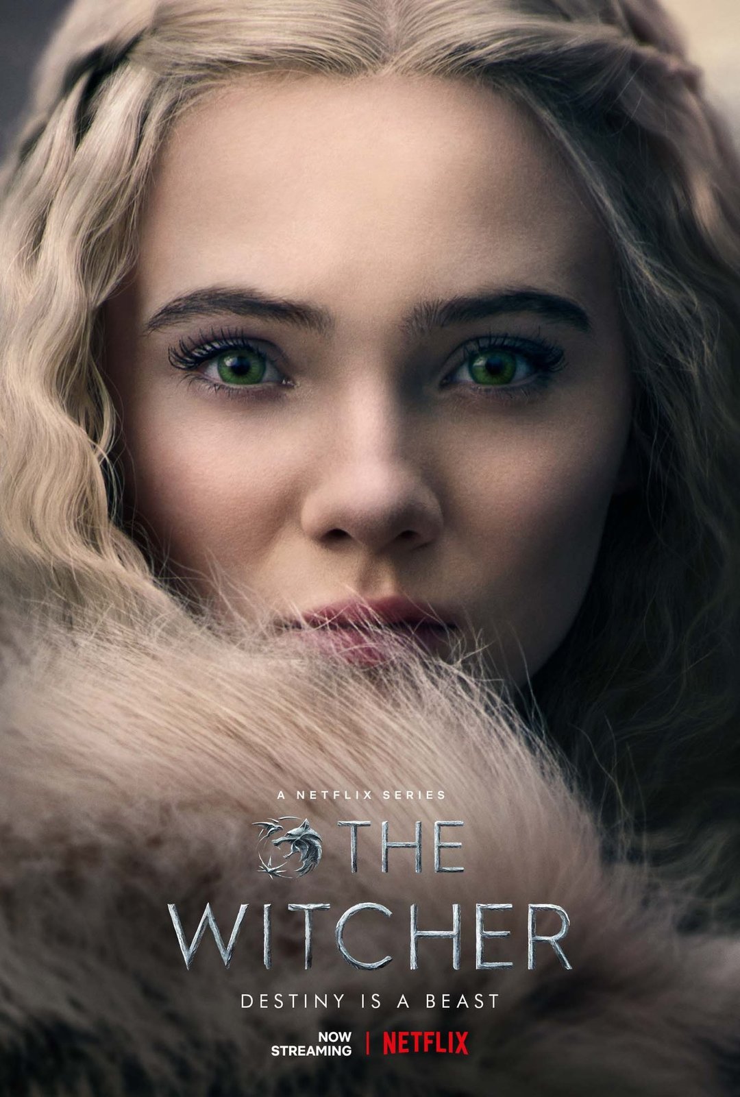 Whitcher 2  The witcher movie, The witcher, Movie posters