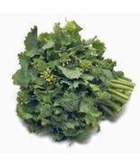 BROCCOLI RAAB, RAPINI, HEIRLOOM, ORGANIC 25+ SEEDS, DELICIOUS A CULINARY... - $1.97