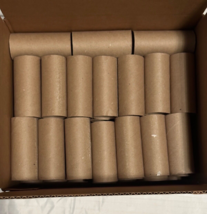  100 Packs Cardboard Tubes for Craft, 1.57 x 3.35 Inch