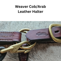 Weaver Cob - Arab Leather Halter Brass Fittings med oil with chain lead USED image 3