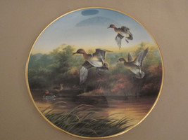 GREEN-WINGS At Marsh Collector Plate Lynn Kaatz Ducks Unlimited Waterfowl Teal - $29.99