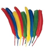 School Smart Non-Toxic Long Colored Quill, 10 - 12 in, Multi-Color, Pack... - $18.37