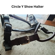 Circle Y Silver Show Halter Horse Size Dark Oil USED image 6