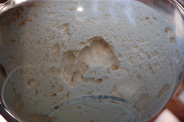 sourdough bread starter yeast, you cant handle this one the beast d - $6.50