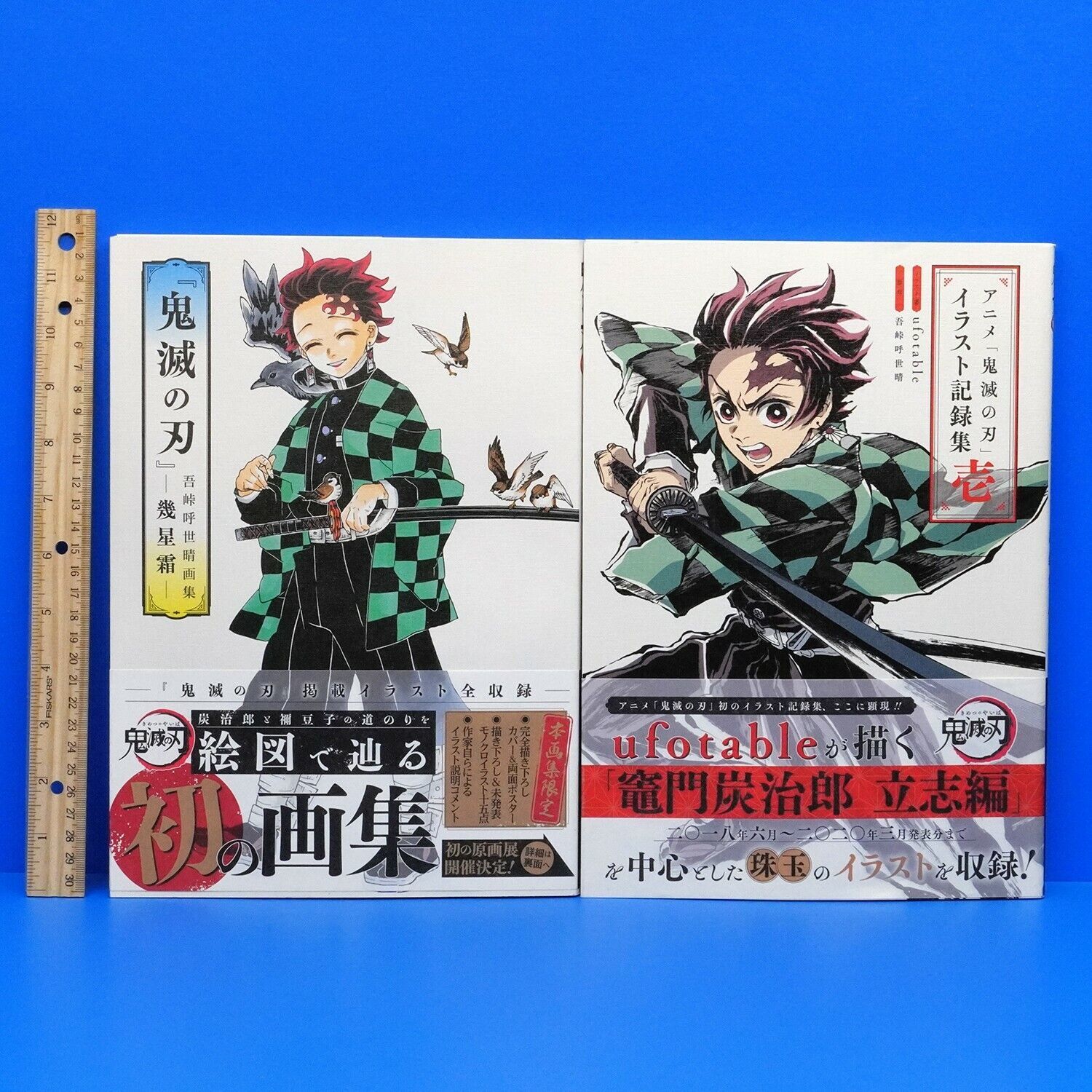 Demon Slayer Kimetsu No Yaiba, Mangá Vol. 7 Ao 10