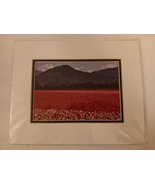 Lee Mann 1267 Tulips And Snowcapped Peaks Matted Photo Print For 8&quot; X 10... - $14.99